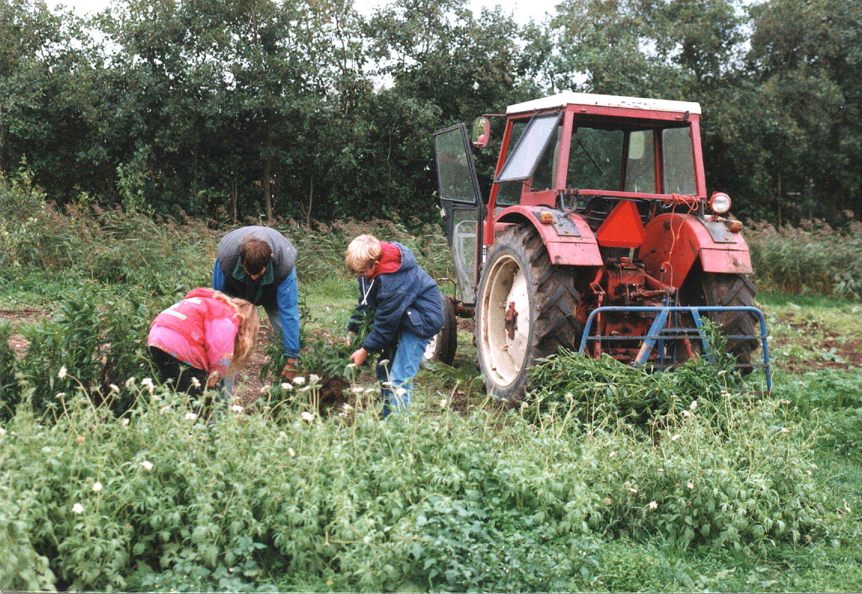 Smaakvolle oase in Zelfpluktuin familie Boersen