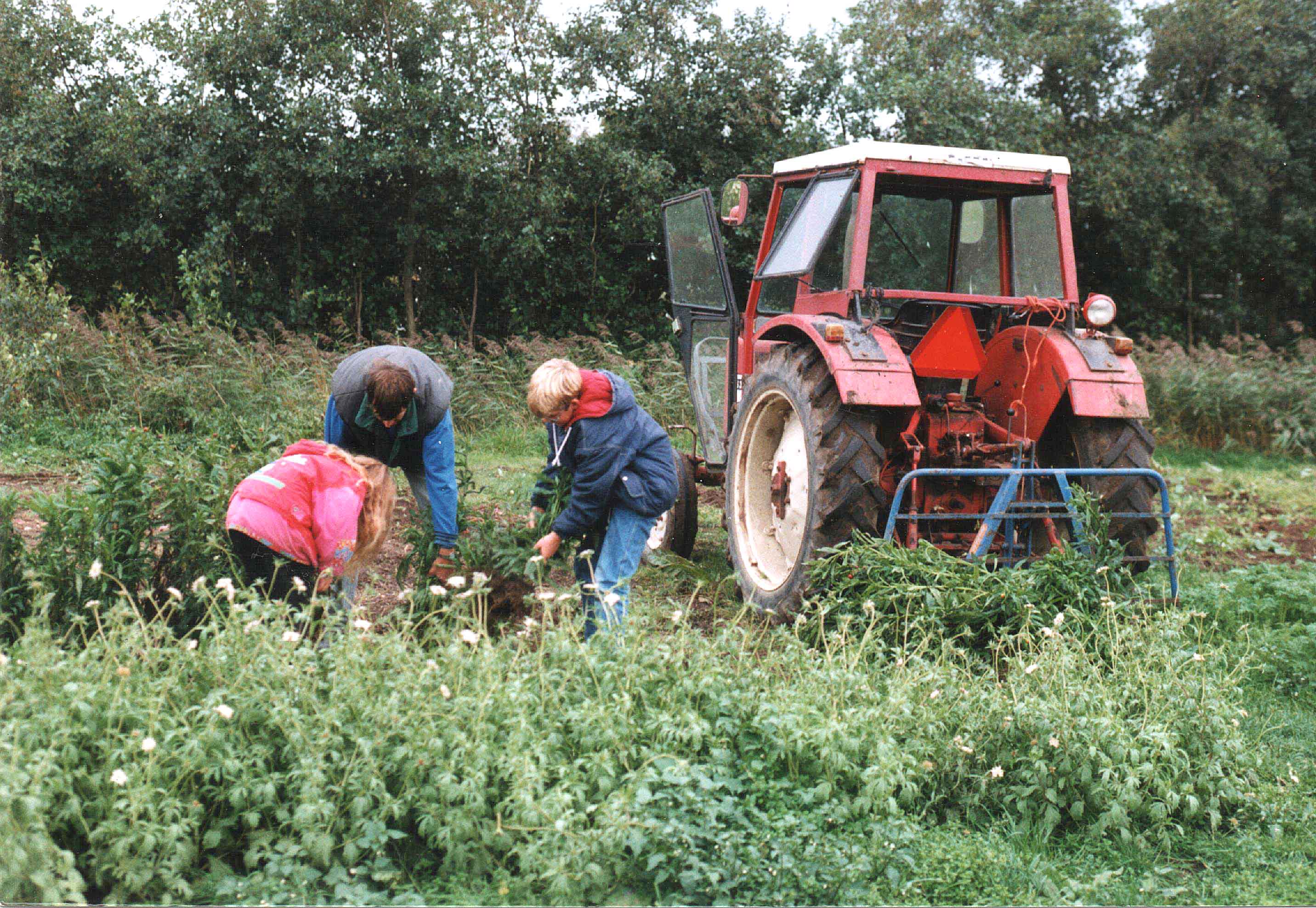 Smaakvolle oase in Zelfpluktuin familie Boersen