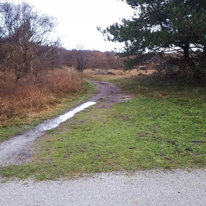 20210117_132510_resized