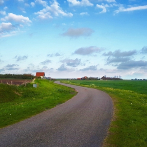 20200502_194823_bew