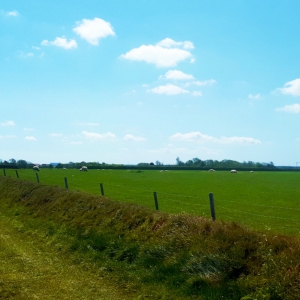 20200504_133013_bew