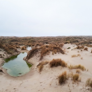 20210204_162430_horsduinen