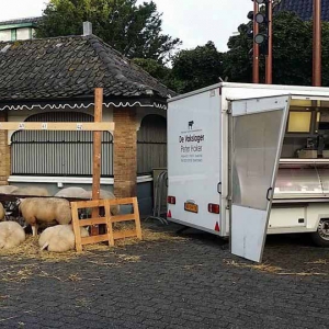 06 Op de Fokveedag