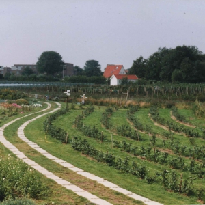 overzicht tuin_1