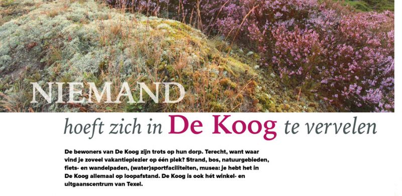 De Koog